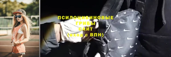 apvp Белокуриха