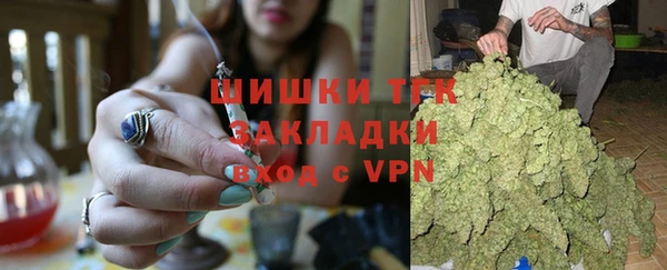 ГАЛЛЮЦИНОГЕННЫЕ ГРИБЫ Ступино