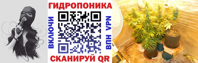 наркошоп  Курчалой  Бошки Шишки Amnesia 